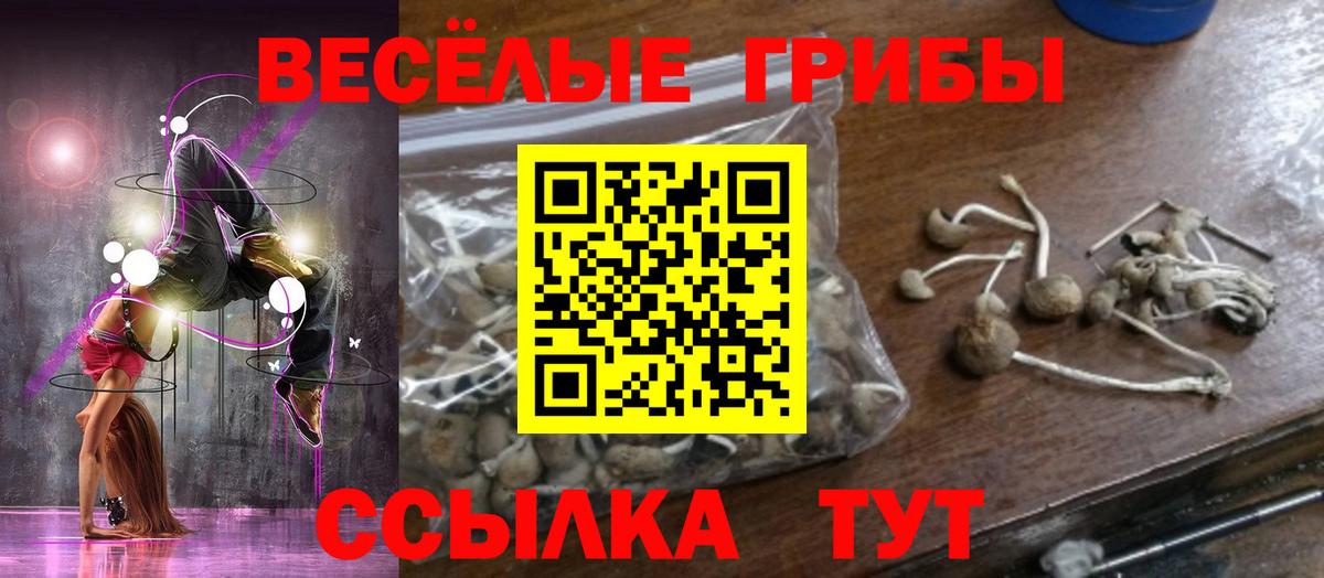 ГАШИШ Юрга